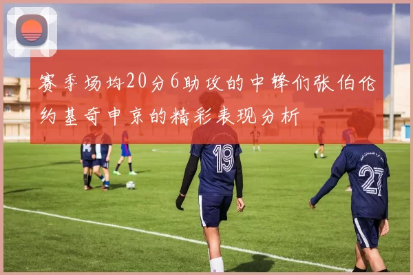 赛季场均20分6助攻的中锋们张伯伦约基奇申京的精彩表现分析