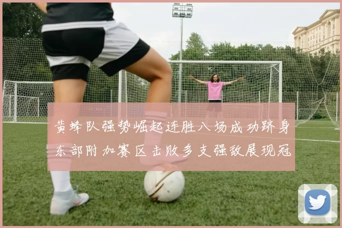 黄蜂队强势崛起连胜八场成功跻身东部附加赛区击败多支强敌展现冠军潜力