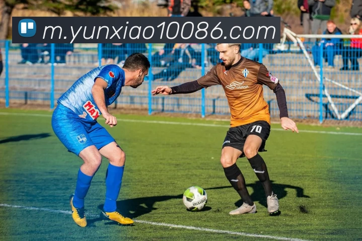 云霄体育平台生态图