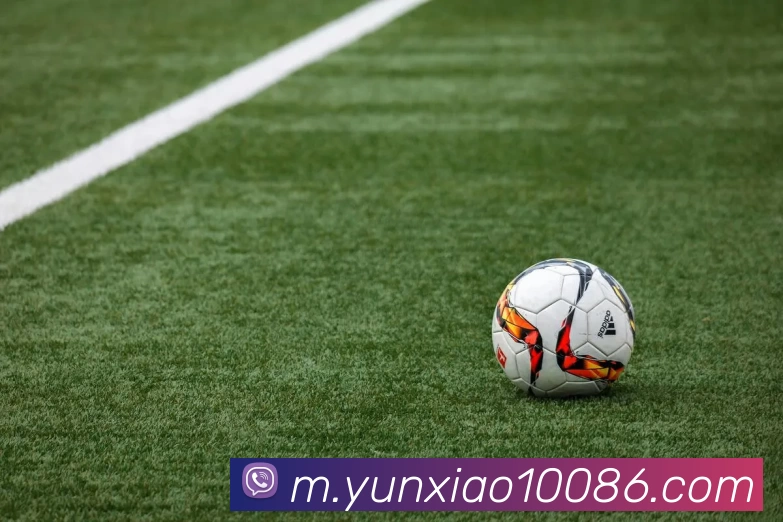 云霄体育全站App